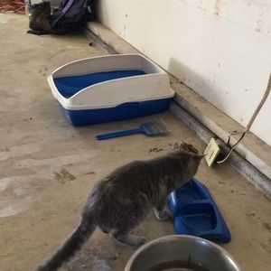 Meet your Posher, Semone